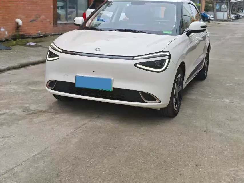 2024 DongFeng eπ 01 BEV 42.3KWH,autocango,china used car exporter,china ev exporter,chinese used car exporter,chinese used ev exporter