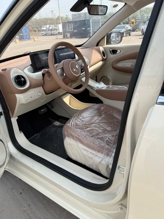 2025 WuLing BinGuo BEV,autocango,china used car exporter,china ev exporter,chinese used car exporter,chinese used ev exporter