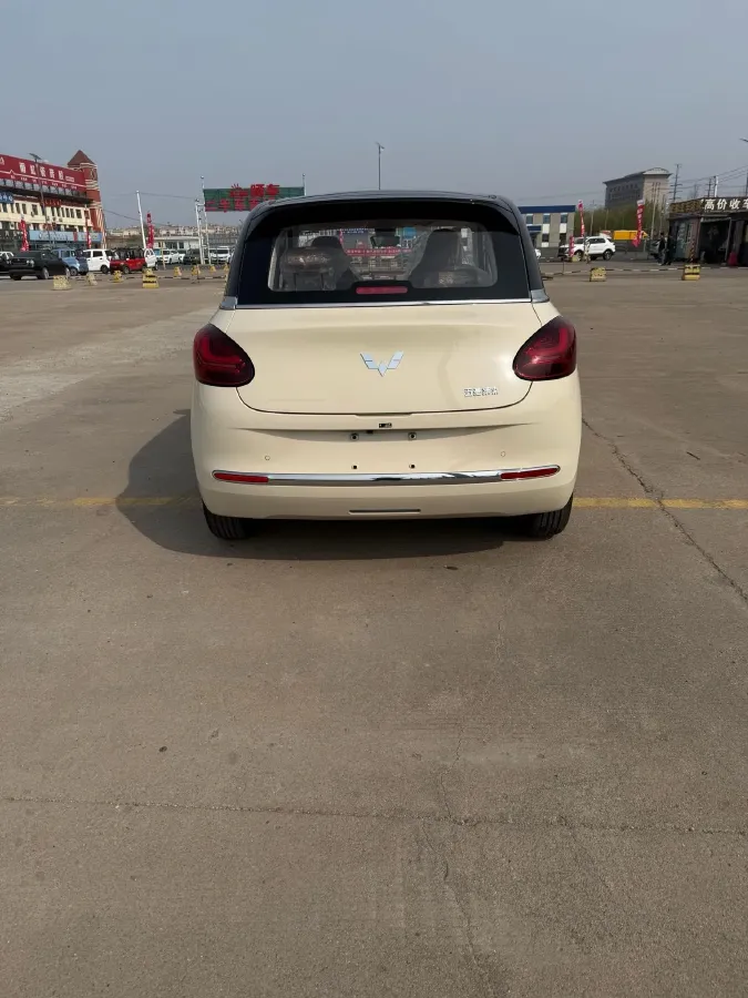 2025 WuLing BinGuo BEV,autocango,china used car exporter,china ev exporter,chinese used car exporter,chinese used ev exporter