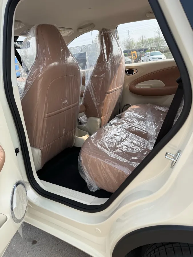 2025 WuLing BinGuo BEV,autocango,china used car exporter,china ev exporter,chinese used car exporter,chinese used ev exporter