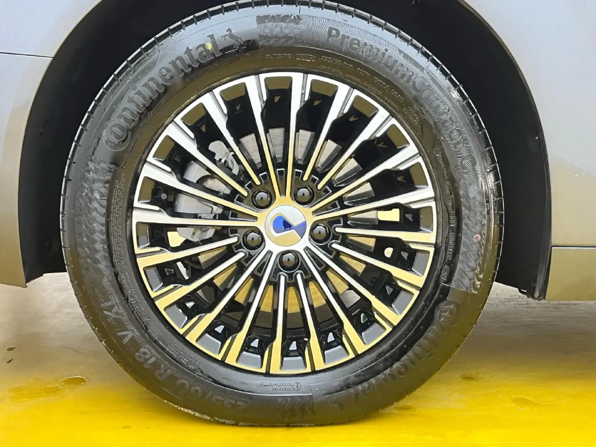 2025 Denza D9 1.5T 156HP L4 E-CVT PHEV 40KWH,autocango,china used car exporter,china ev exporter,chinese used car exporter,chinese used ev exporter