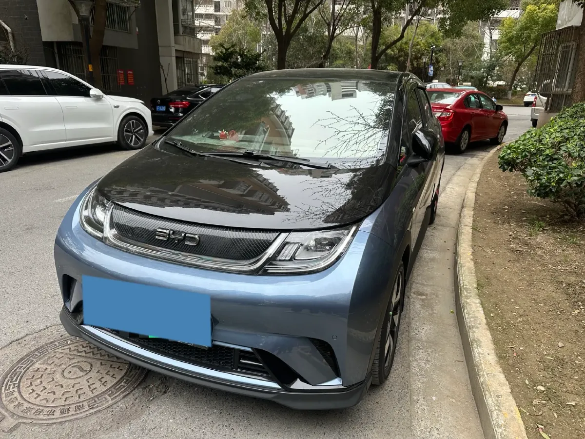 2024 BYD Dolphin BEV 44.928KWH,autocango,china used car exporter,china ev exporter,chinese used car exporter,chinese used ev exporter