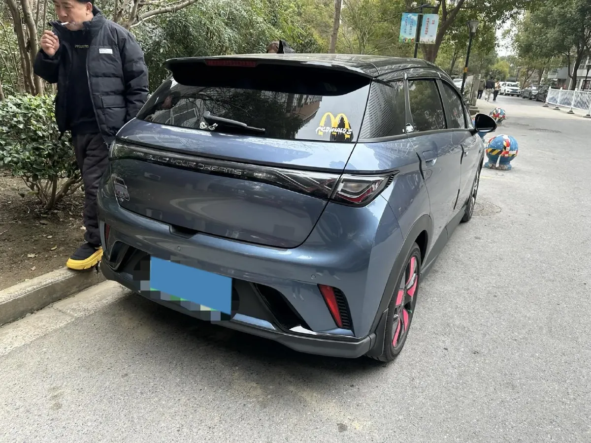 2024 BYD Dolphin BEV 44.928KWH,autocango,china used car exporter,china ev exporter,chinese used car exporter,chinese used ev exporter