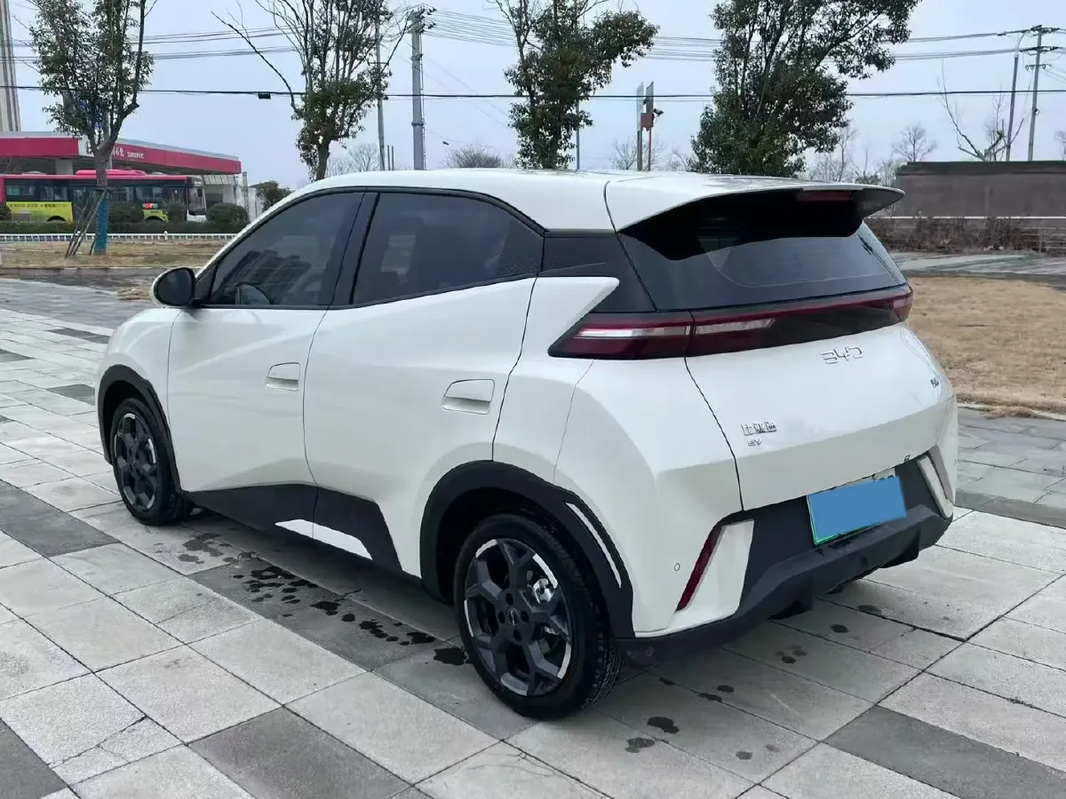 2025 BYD Seagull BEV 30.08KWH,autocango,china used car exporter,china ev exporter,chinese used car exporter,chinese used ev exporter