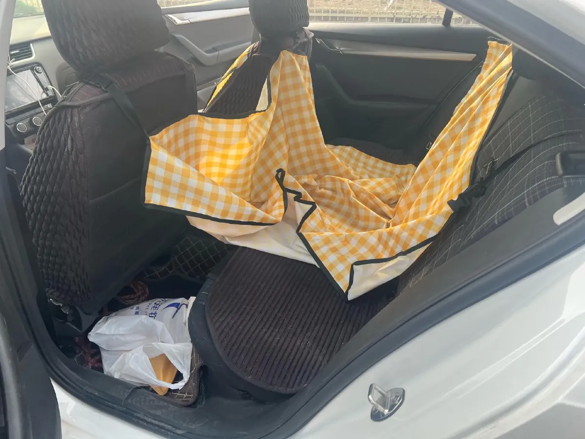 2019 Skoda Octavia 1.5L 116HP L4 6AT,autocango,china used car exporter,china ev exporter,chinese used car exporter,chinese used ev exporter