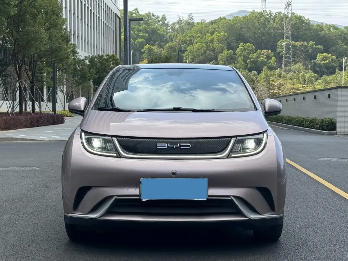 2021 BYD Yuan Pro BEV 50.1KWH,autocango,china used car exporter,china ev exporter,chinese used car exporter,chinese used ev exporter