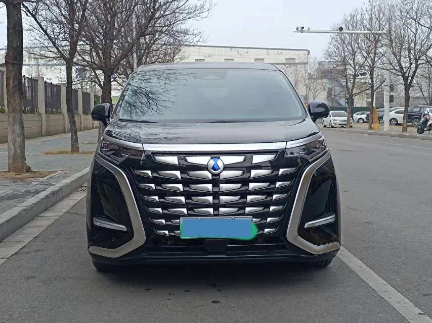 2024 Denza D9 1.5T 139HP L4 E-CVT PHEV 40KWH,autocango,china used car exporter,china ev exporter,chinese used car exporter,chinese used ev exporter