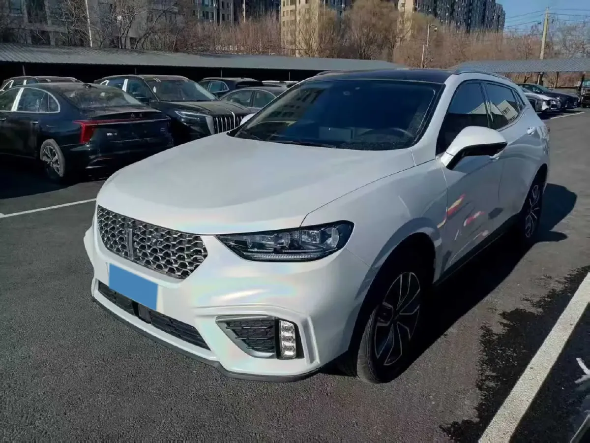 2021 WEY VV5 1.5T 171HP L4 7DCT,autocango,china used car exporter,china ev exporter,chinese used car exporter,chinese used ev exporter
