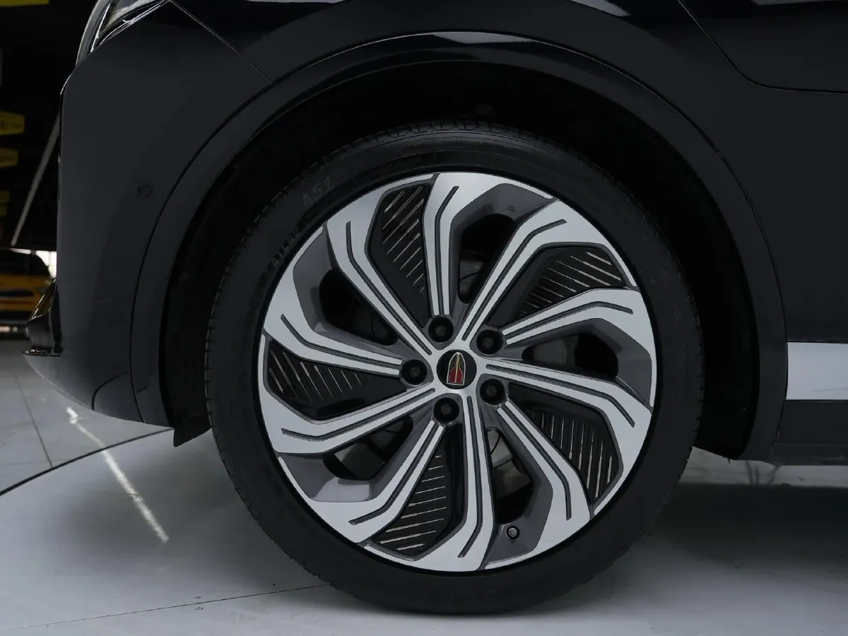 2022 HongQi E-HS9 BEV 120KWH,autocango,china used car exporter,china ev exporter,chinese used car exporter,chinese used ev exporter