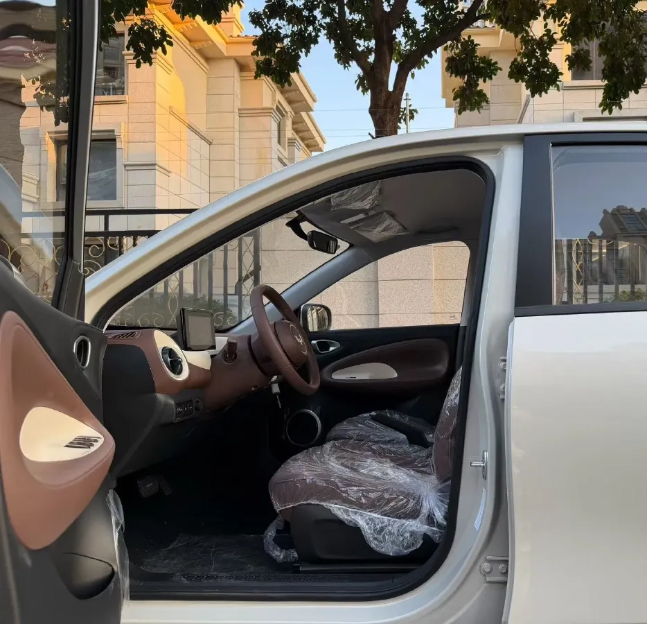 2025 WuLing BinGuo BEV,autocango,china used car exporter,china ev exporter,chinese used car exporter,chinese used ev exporter