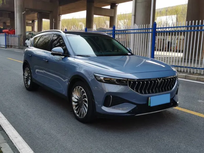 2021 Voyah FREE Range Extended 109HP REEV 33KWH,autocango,china used car exporter,china ev exporter,chinese used car exporter,chinese used ev exporter