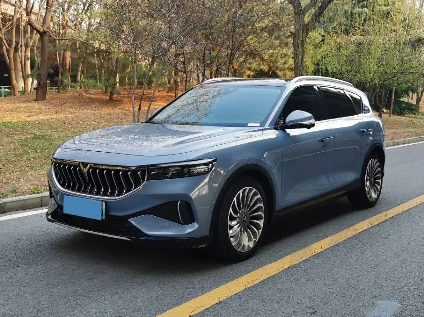 2021 Voyah FREE Range Extended 109HP REEV 33KWH,autocango,china used car exporter,china ev exporter,chinese used car exporter,chinese used ev exporter