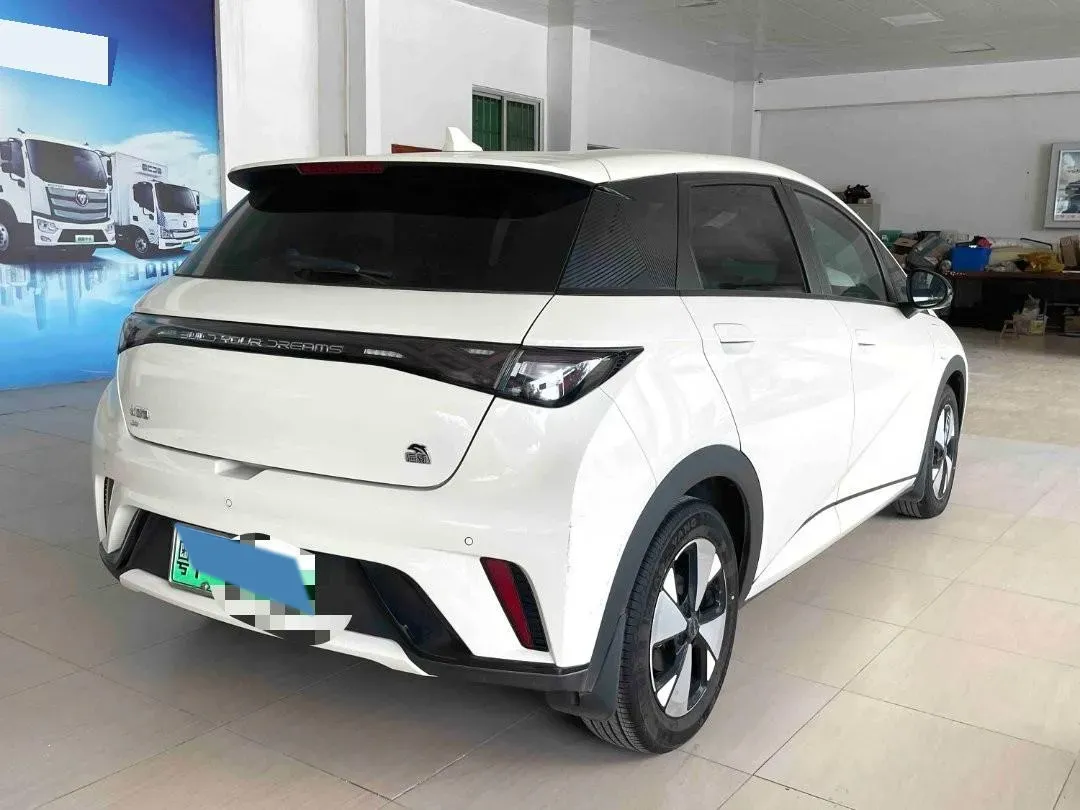 2023 BYD Dolphin BEV 44.928KWH,autocango,china used car exporter,china ev exporter,chinese used car exporter,chinese used ev exporter