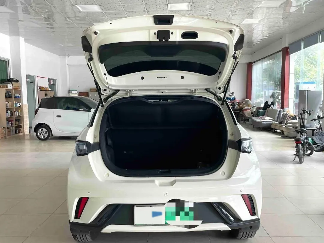 2023 BYD Dolphin BEV 44.928KWH,autocango,china used car exporter,china ev exporter,chinese used car exporter,chinese used ev exporter