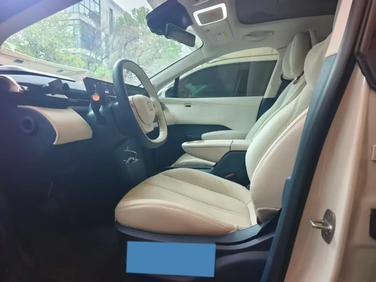 2023 Zeekr X BEV 66KWH,autocango,china used car exporter,china ev exporter,chinese used car exporter,chinese used ev exporter