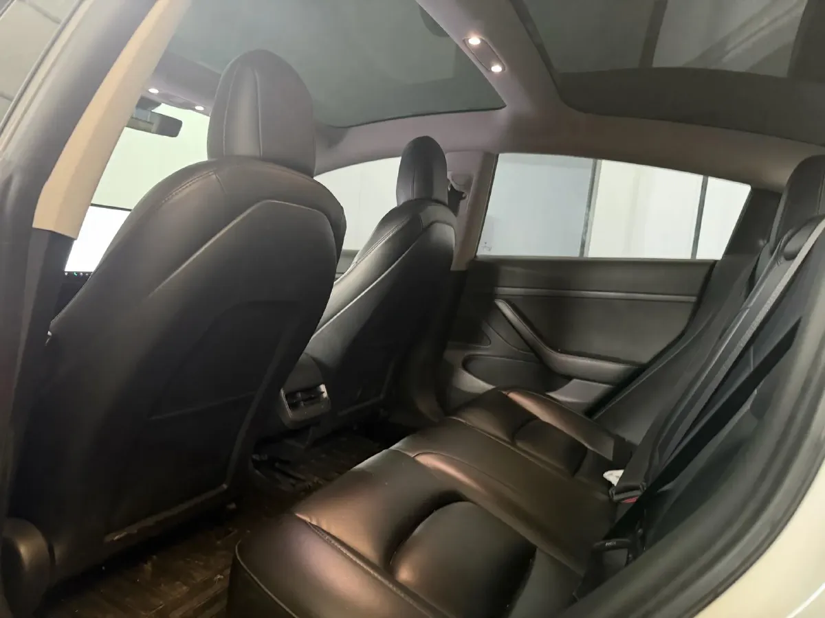 2020 Tesla Model 3 BEV 52KWH,autocango,china used car exporter,china ev exporter,chinese used car exporter,chinese used ev exporter