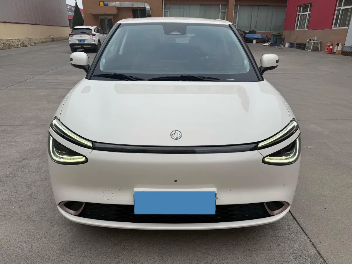 2024 DongFeng eπ 01 BEV 42.3KWH,autocango,china used car exporter,china ev exporter,chinese used car exporter,chinese used ev exporter