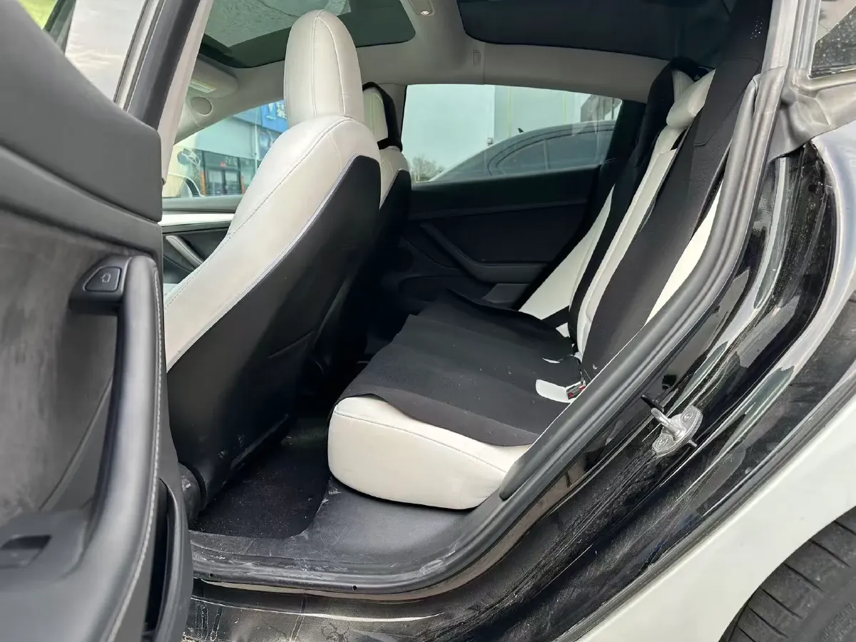 2021 Tesla Model 3 BEV 55KWH,autocango,china used car exporter,china ev exporter,chinese used car exporter,chinese used ev exporter