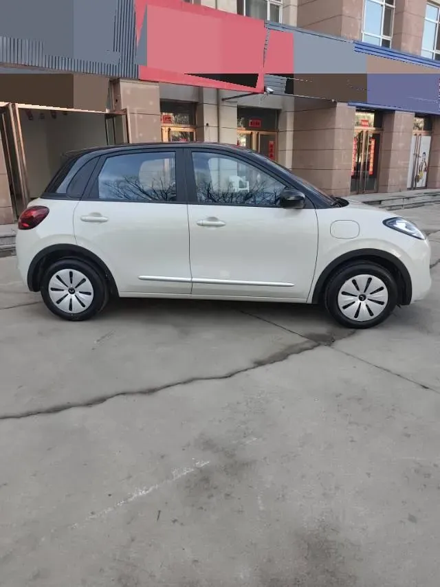 2024 WuLing BinGuo BEV 17.3KWH,autocango,china used car exporter,china ev exporter,chinese used car exporter,chinese used ev exporter