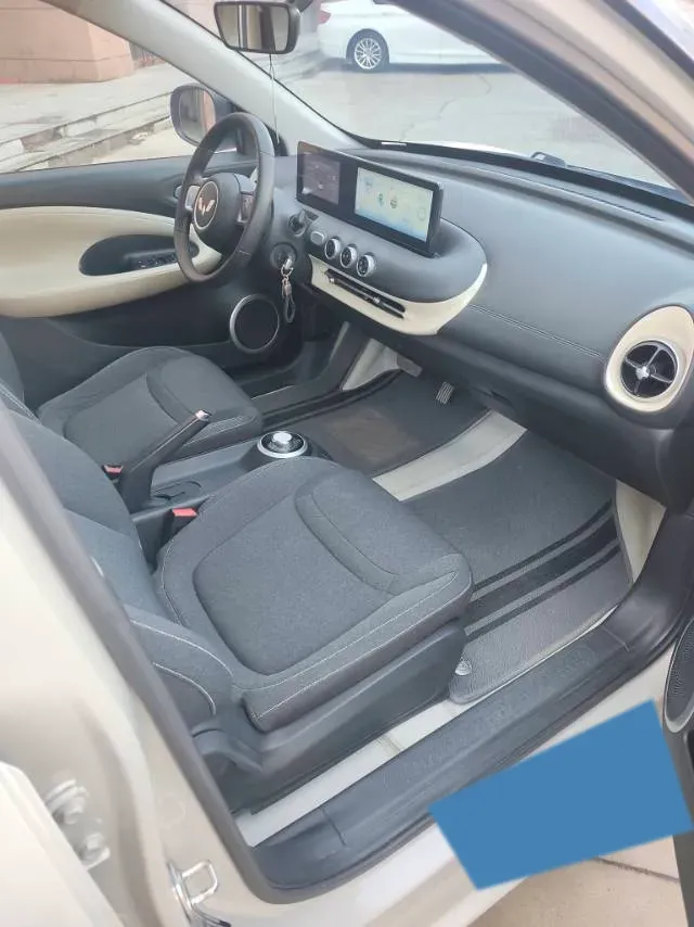 2024 WuLing BinGuo BEV 17.3KWH,autocango,china used car exporter,china ev exporter,chinese used car exporter,chinese used ev exporter