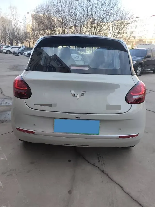 2024 WuLing BinGuo BEV 17.3KWH,autocango,china used car exporter,china ev exporter,chinese used car exporter,chinese used ev exporter