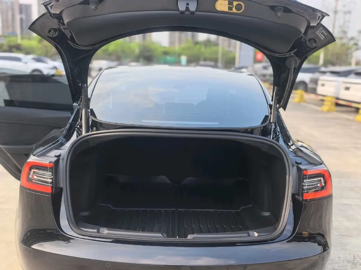 2021 Tesla Model 3 BEV 55KWH,autocango,china used car exporter,china ev exporter,chinese used car exporter,chinese used ev exporter