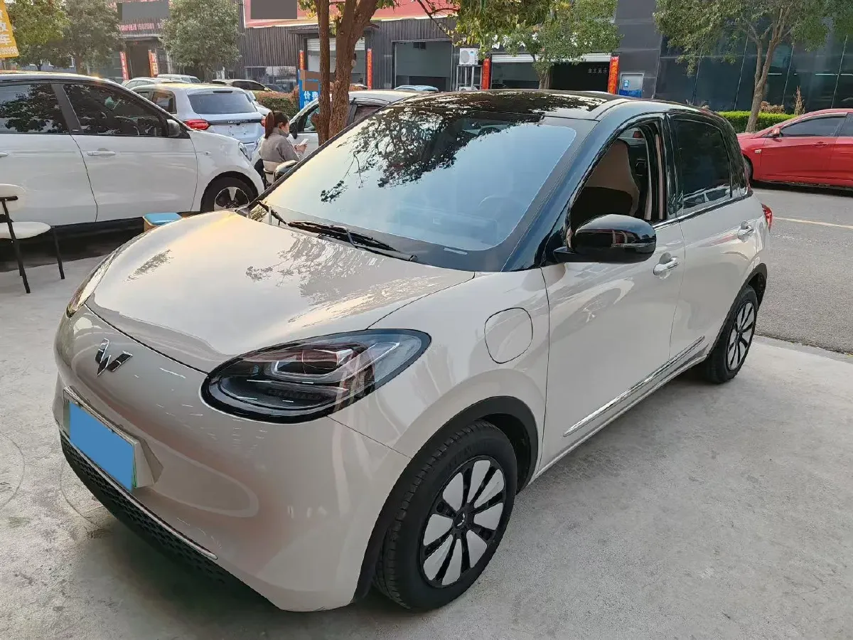 2023 WuLing BinGuo BEV 31.9KWH,autocango,china used car exporter,china ev exporter,chinese used car exporter,chinese used ev exporter