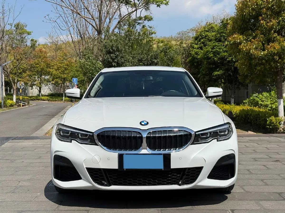 2021 BMW 3 Series 2.0T 156HP L4 8AT,autocango,china used car exporter,china ev exporter,chinese used car exporter,chinese used ev exporter