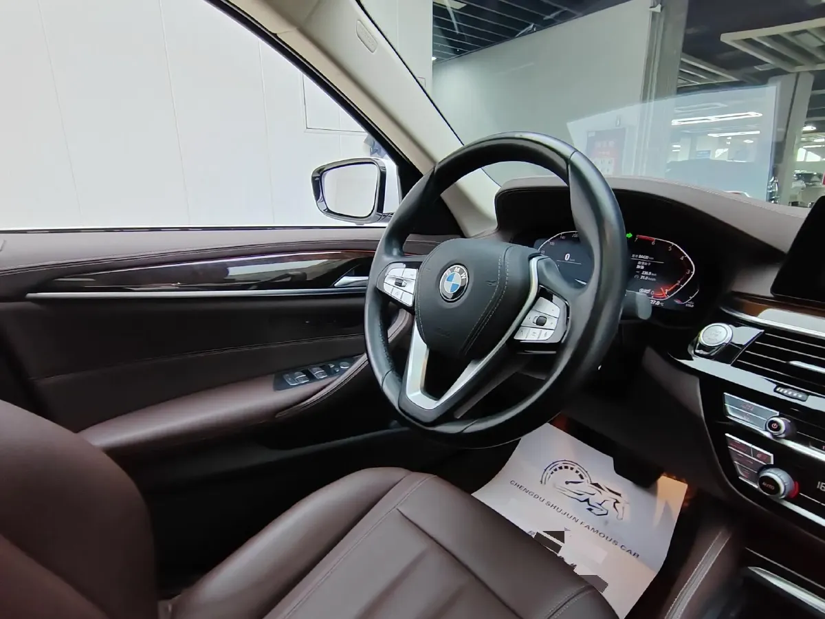 2020 BMW 5 Series 2.0T 184HP L4 8AT,autocango,china used car exporter,china ev exporter,chinese used car exporter,chinese used ev exporter