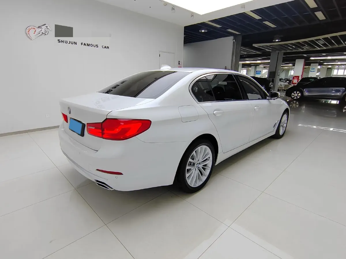 2020 BMW 5 Series 2.0T 184HP L4 8AT,autocango,china used car exporter,china ev exporter,chinese used car exporter,chinese used ev exporter