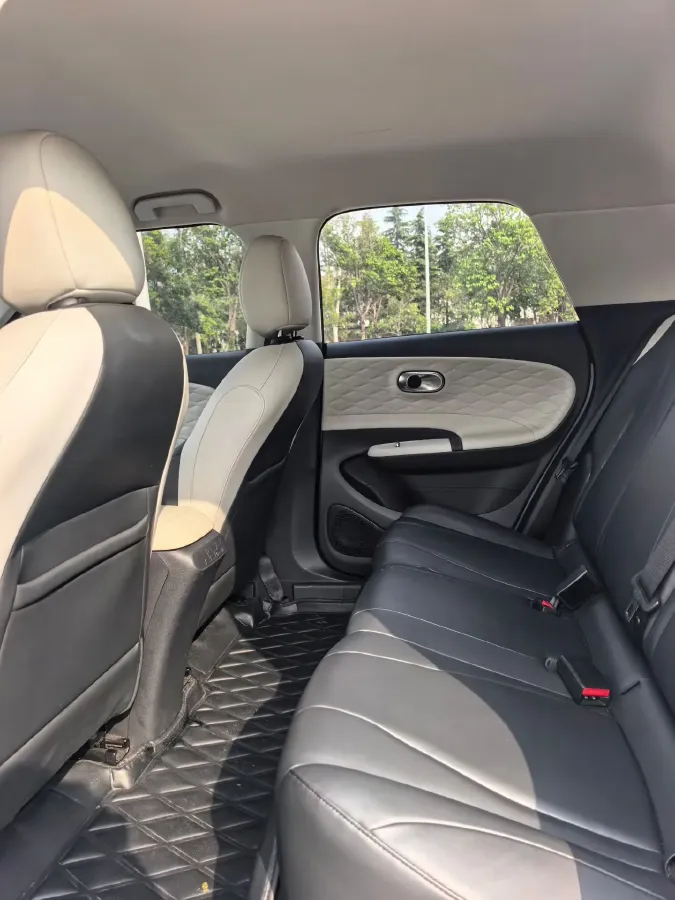 2024 DongFeng eπ 01 BEV 42.3KWH,autocango,china used car exporter,china ev exporter,chinese used car exporter,chinese used ev exporter