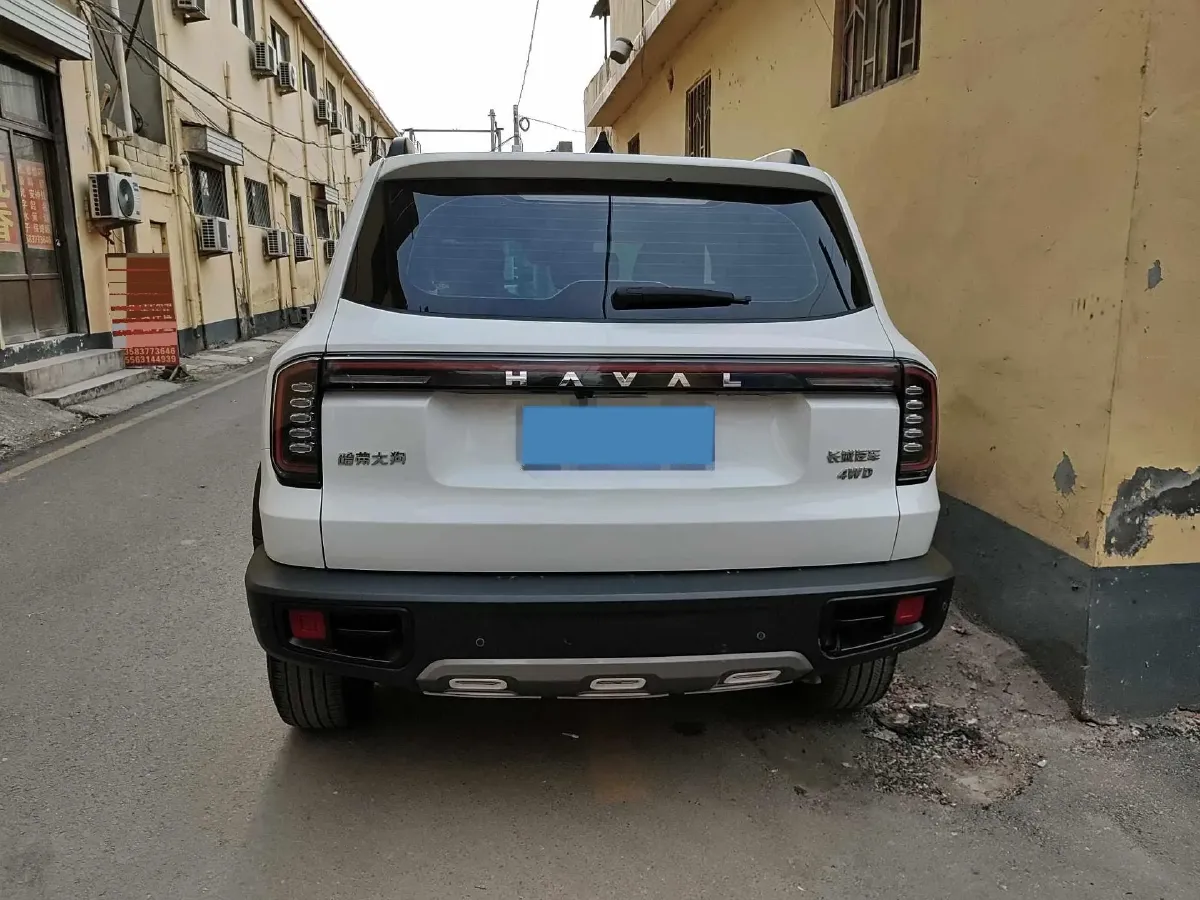2024 Haval Dargo 2.0T 238HP L4 9DCT,autocango,china used car exporter,china ev exporter,chinese used car exporter,chinese used ev exporter