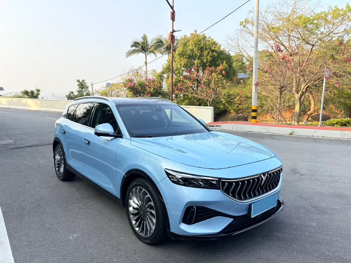 2021 Voyah FREE Range Extended 109HP REEV 33KWH,autocango,china used car exporter,china ev exporter,chinese used car exporter,chinese used ev exporter