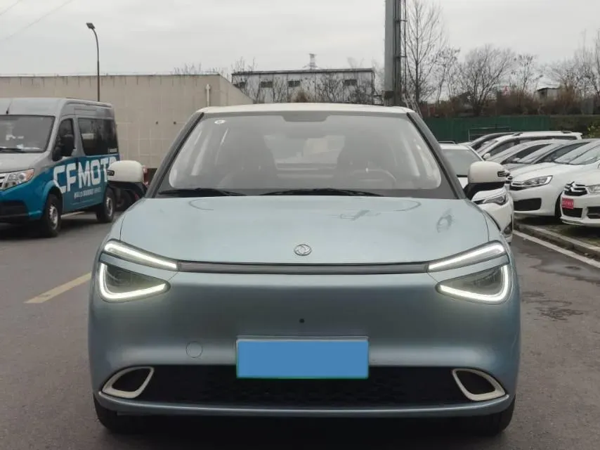 2024 DongFeng Nammi 01 BEV 42.3KWH,autocango,china used car exporter,china ev exporter,chinese used car exporter,chinese used ev exporter