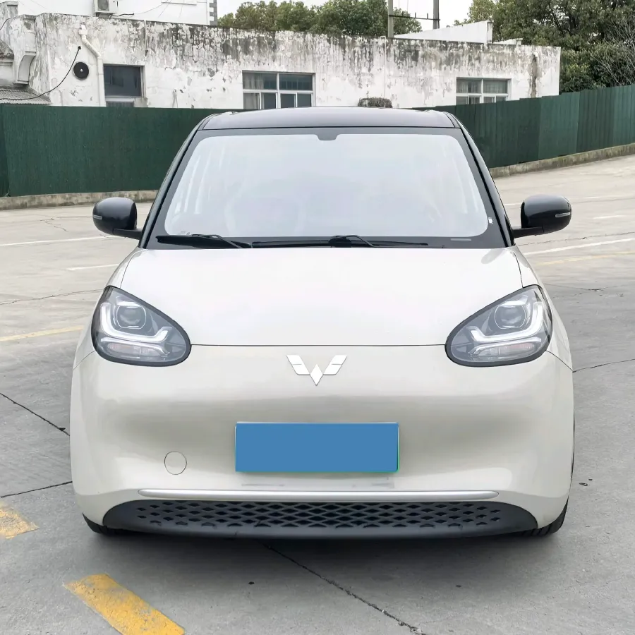 2023 WuLing BinGuo BEV 31.9KWH,autocango,china used car exporter,china ev exporter,chinese used car exporter,chinese used ev exporter