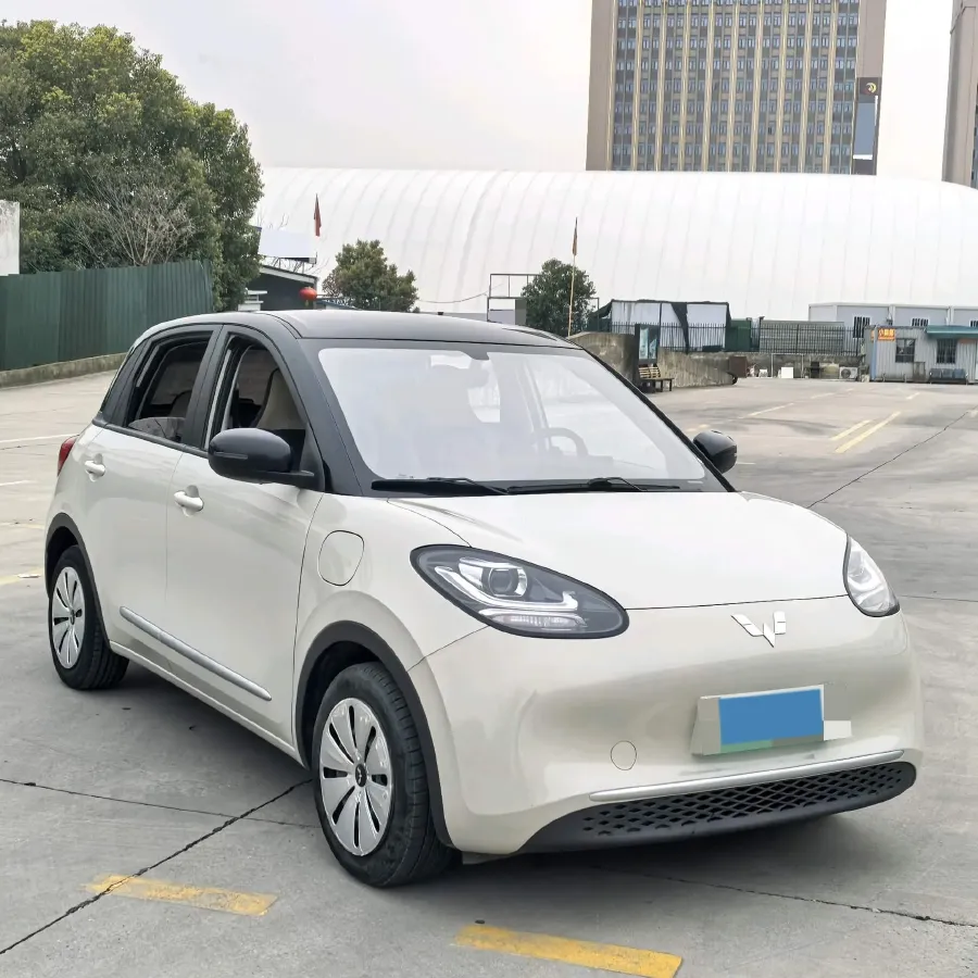 2023 WuLing BinGuo BEV 31.9KWH,autocango,china used car exporter,china ev exporter,chinese used car exporter,chinese used ev exporter