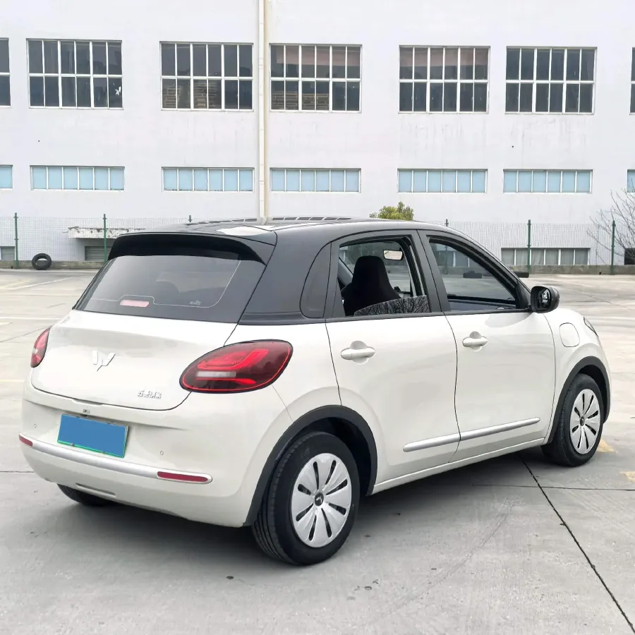 2023 WuLing BinGuo BEV 31.9KWH,autocango,china used car exporter,china ev exporter,chinese used car exporter,chinese used ev exporter