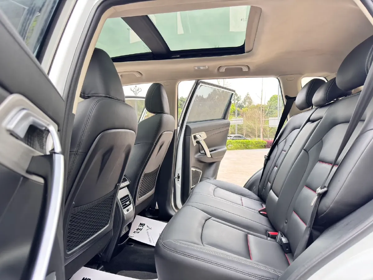 2020 Great Wall Poer 2.0T 163HP L4 8AT,autocango,china used car exporter,china ev exporter,chinese used car exporter,chinese used ev exporter