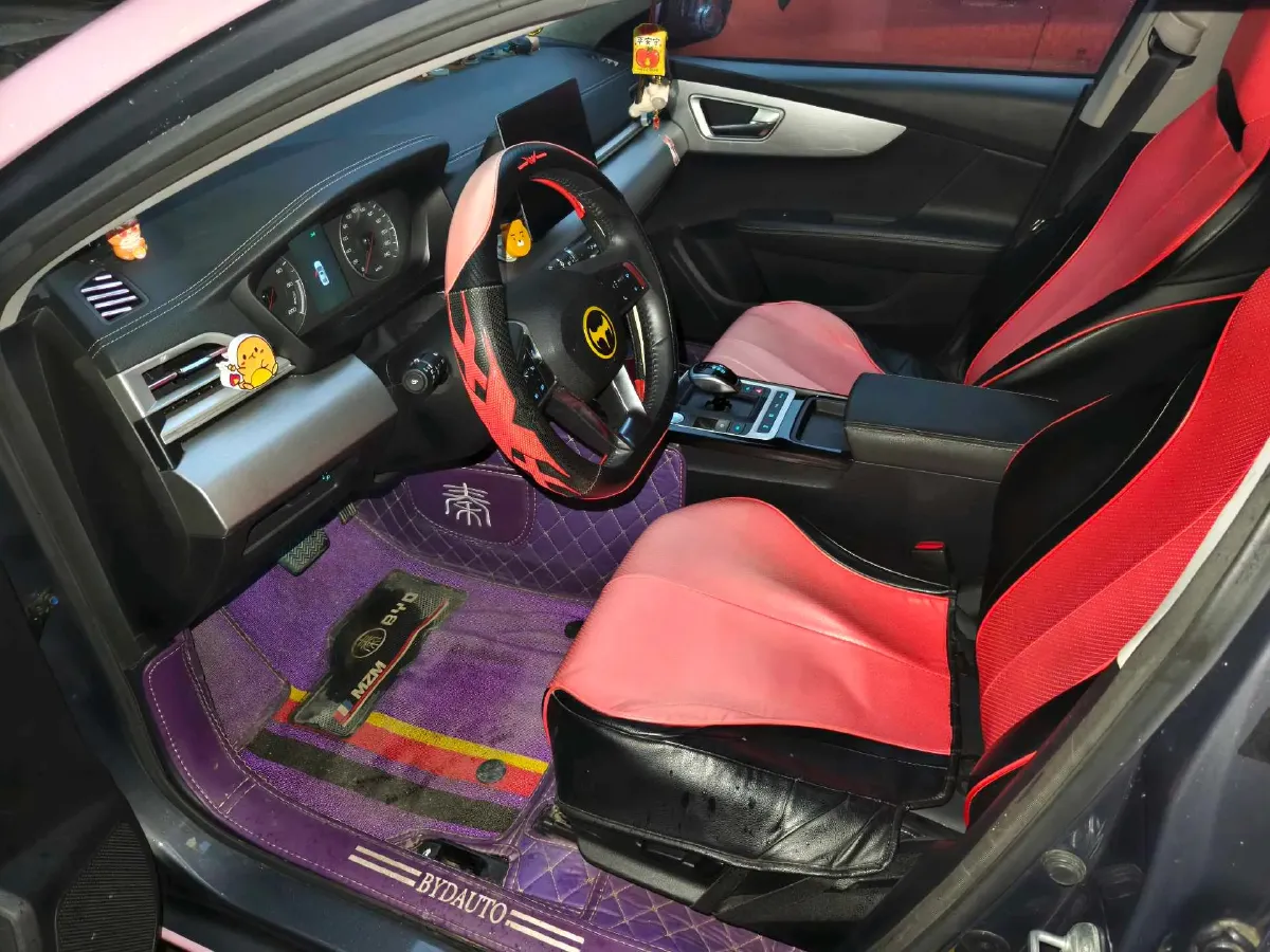 2019 BYD Qin BEV 53.1KWH,autocango,china used car exporter,china ev exporter,chinese used car exporter,chinese used ev exporter