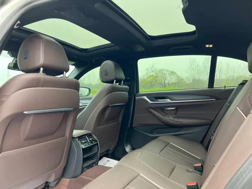 2021 BMW 5 Series 2.0T 252HP L4 8AT,autocango,china used car exporter,china ev exporter,chinese used car exporter,chinese used ev exporter