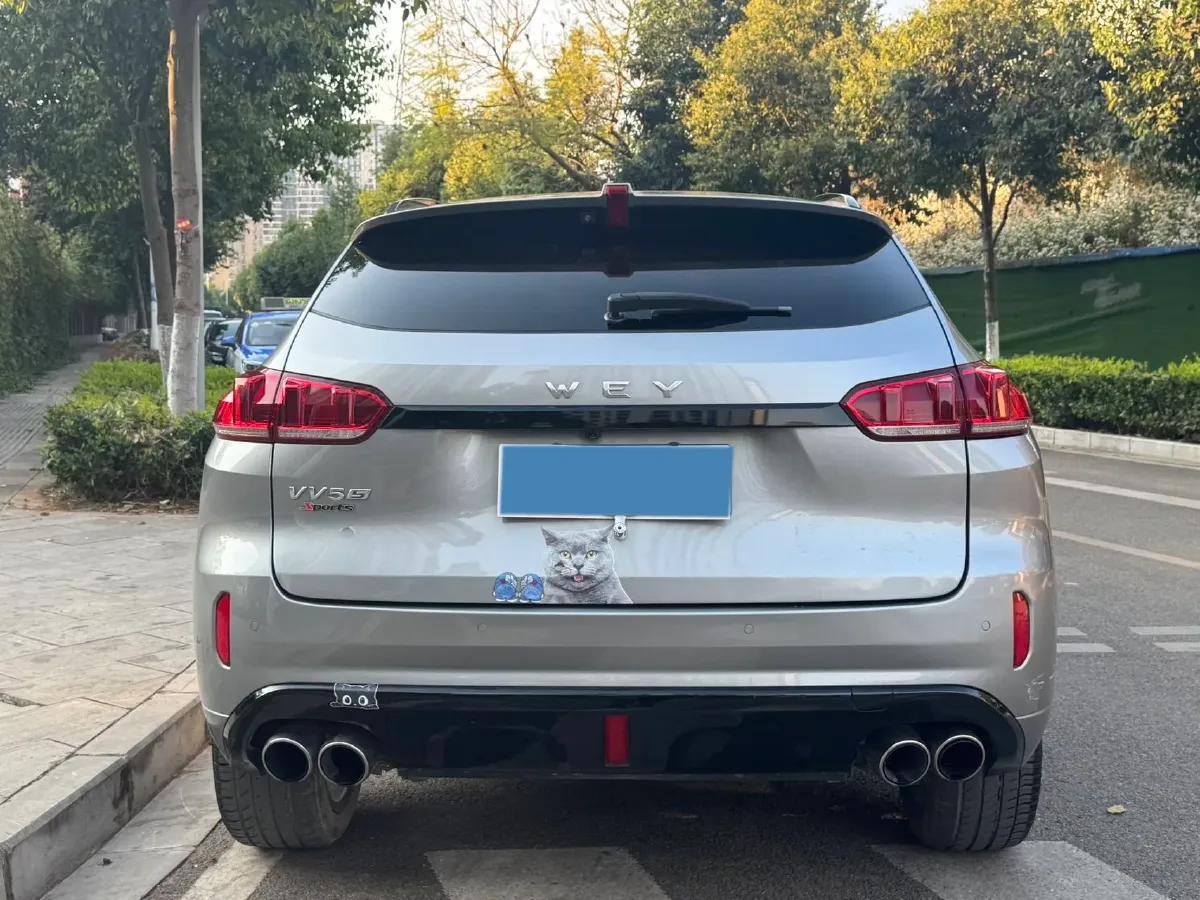 2017 WEY VV5 2.0T 197HP L4 7DCT,autocango,china used car exporter,china ev exporter,chinese used car exporter,chinese used ev exporter