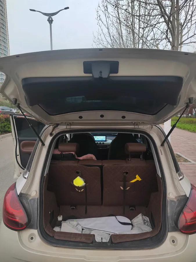 2024 WuLing BinGuo BEV 31.9KWH,autocango,china used car exporter,china ev exporter,chinese used car exporter,chinese used ev exporter