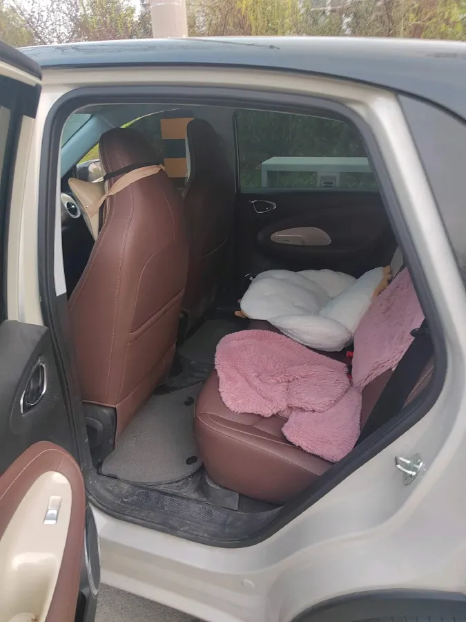 2024 WuLing BinGuo BEV 31.9KWH,autocango,china used car exporter,china ev exporter,chinese used car exporter,chinese used ev exporter