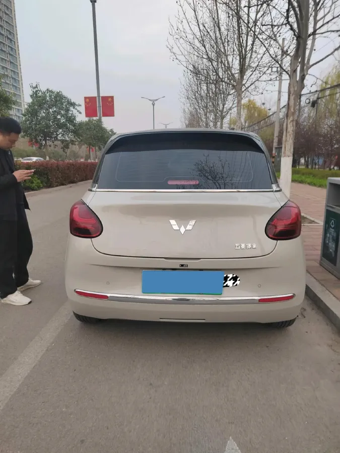 2024 WuLing BinGuo BEV 31.9KWH,autocango,china used car exporter,china ev exporter,chinese used car exporter,chinese used ev exporter
