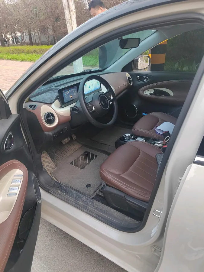 2024 WuLing BinGuo BEV 31.9KWH,autocango,china used car exporter,china ev exporter,chinese used car exporter,chinese used ev exporter