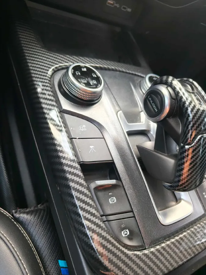 2021 Tank 300 2.0T 227HP L4 8AT,autocango,china used car exporter,china ev exporter,chinese used car exporter,chinese used ev exporter