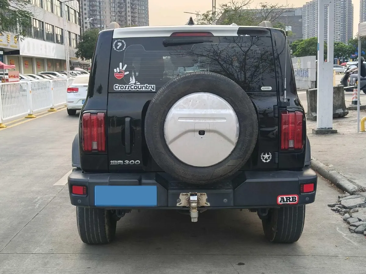 2021 Tank 300 2.0T 227HP L4 8AT,autocango,china used car exporter,china ev exporter,chinese used car exporter,chinese used ev exporter