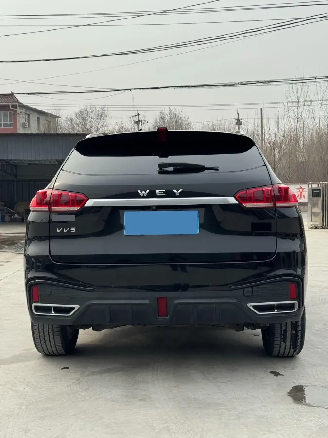 2021 WEY VV5 1.5T 171HP L4 7DCT,autocango,china used car exporter,china ev exporter,chinese used car exporter,chinese used ev exporter