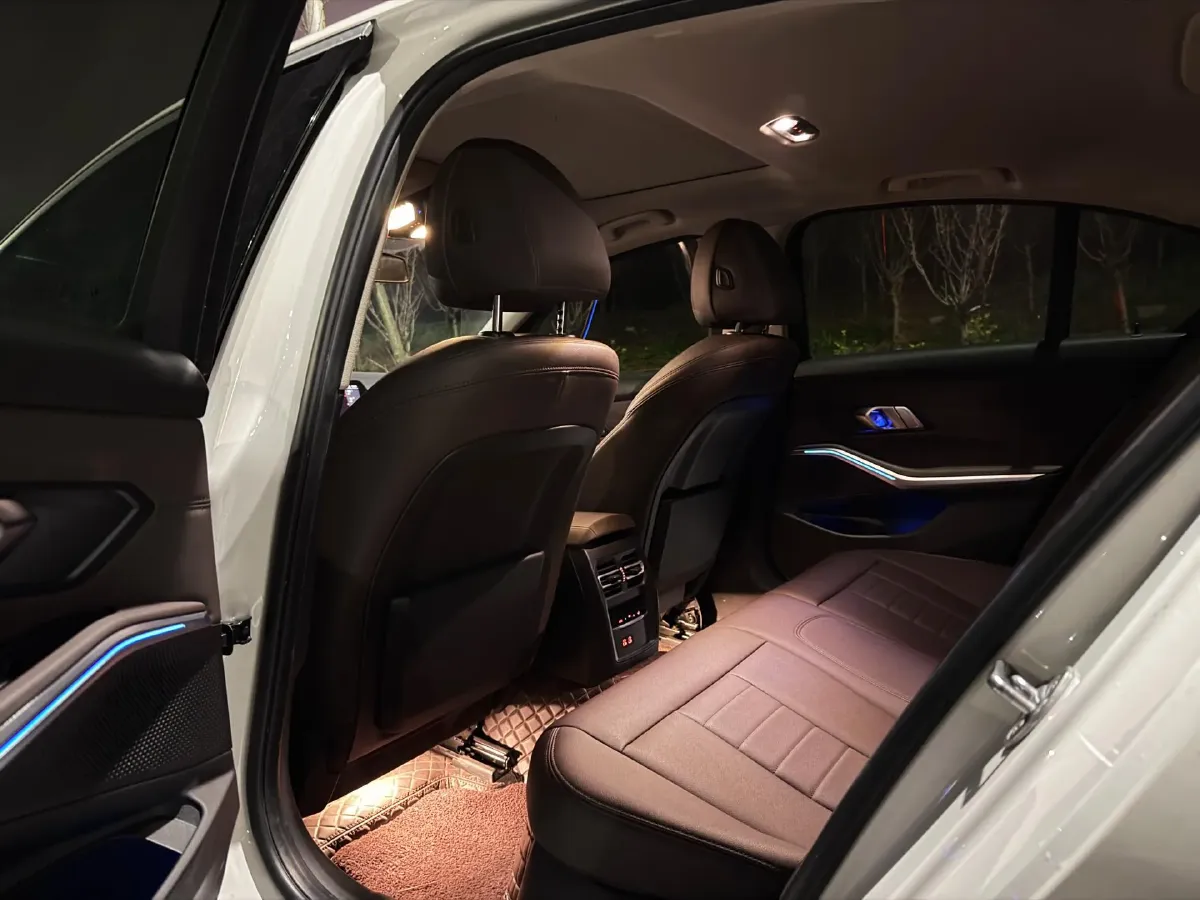 2020 BMW 3 Series 2.0T 184HP L4 8AT,autocango,china used car exporter,china ev exporter,chinese used car exporter,chinese used ev exporter