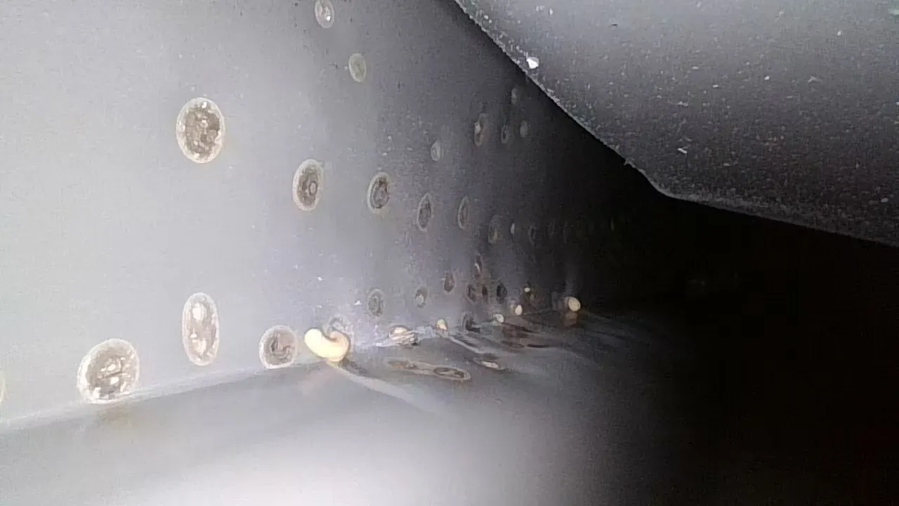 2023 Audi A6L 2.0T 190HP L4 7DCT,autocango,china used car exporter,china ev exporter,chinese used car exporter,chinese used ev exporter